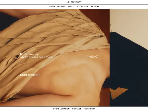 Screenshot of theidiott.com